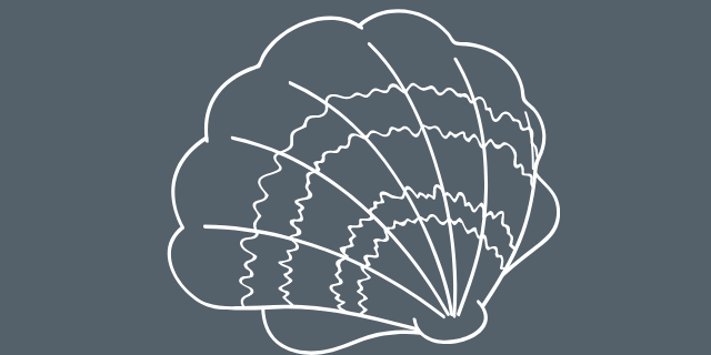 Imagem vetorial de uma concha branca. 