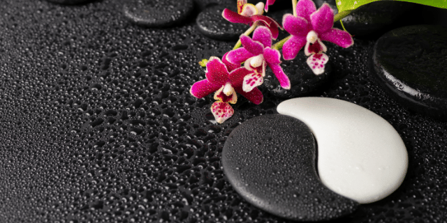 Imagem do símbolo Yin Yang com flores rosas ao lado e o fundo preto. 