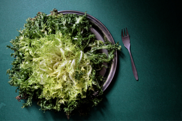 Prato com escarola