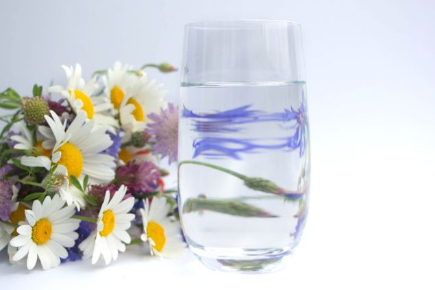 Imagem de um copo com água e ao lado flores de margaridas bem delicadas, simbolizando uma oferenda para a Pombagira Menina.