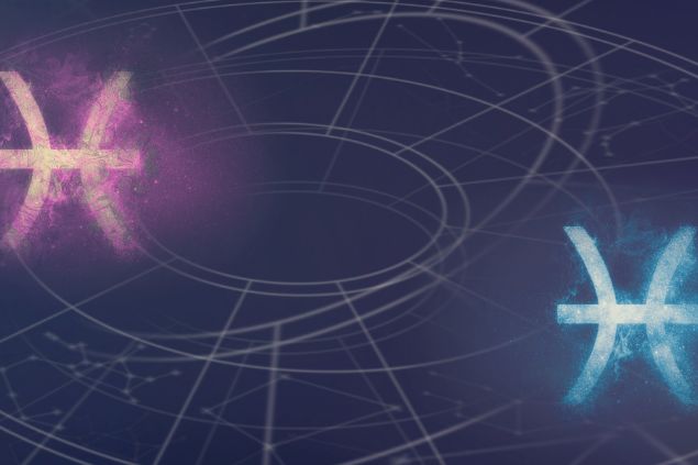 Imagem de dois elementos do signo de peixes nas cores rosa e azul.