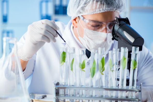 Imagem de um profissional cientista da área de biologia fazendo suas experiências.