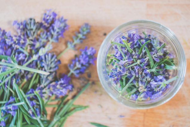 Imagem de ervas dentro de uma vasilha com água para o preparo do ritual Amaci.