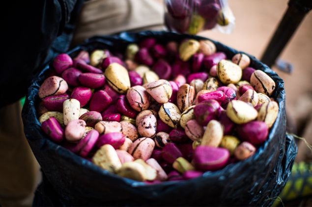 Imagem de um cesto cheio de sementes de OBI Noz de Cola nas cores roxa e branca.