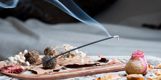 Incenso aceso. Ao fundo, plantas e algumas pétalas de rosa.