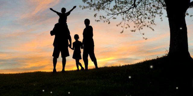 Silhueta de quatro pessoas, representando uma família, ao ar livre.