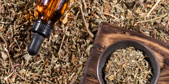 Phyllanthus niruri desidratada em recipiente sobre mesa de madeira. Ao lado, sobre mais da planta, há um conta-gotas.