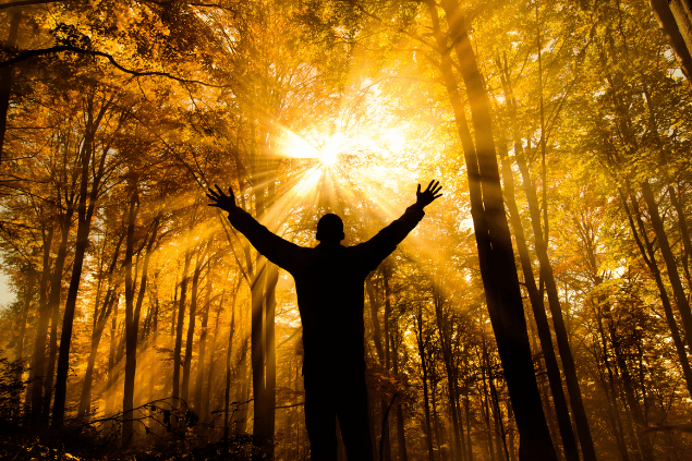 Um homem está com os braços abertos em uma floresta. Ele levanta a cabeça e sente os raios de sol na pele.