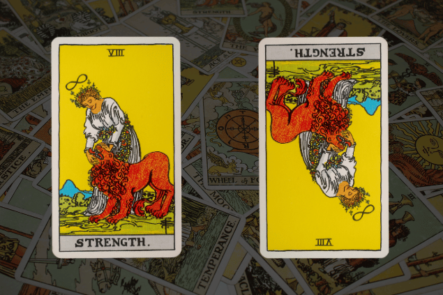 Montagem com a carta A Força do Tarot na posição normal e outra carta A Força na posição invertida. Ao fundo, há várias cartas de Tarot.