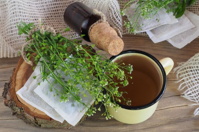 Chá de bolsa-de-pastor sobreposto por raminhos da planta. Ao lado, um frasco de óleo também da planta.