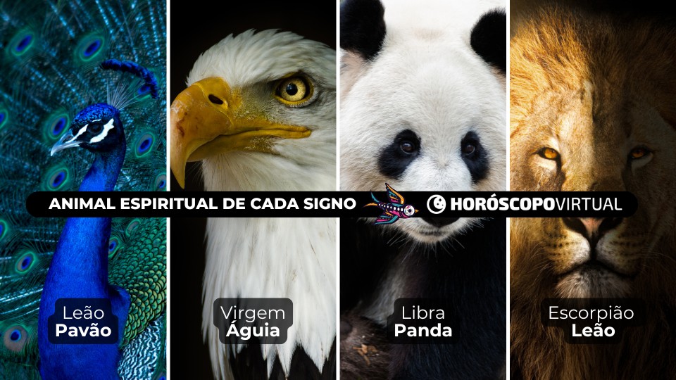 Imagem de quatros animais espiritiuais: Pavão, Águia, Panda e Leão, dos signos de leão, virgem, libra e escorpião.