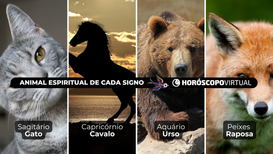 Imagem de quatros animais espiritiuais: Gato, Cavalo, Urso e Raposa, dos signos de sagitário, capricórnio, aquário e peixes