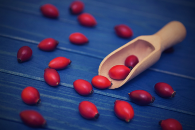 Sementes da rosa mosqueta