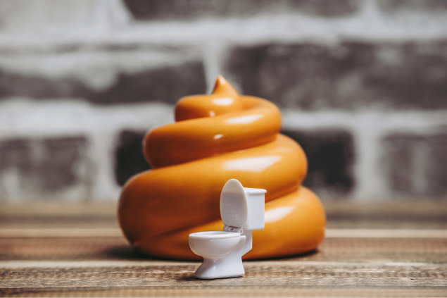 Brinquedo de privada e de fezes