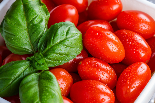 Manjericão dentro de um pote cheio de tomatinhos 