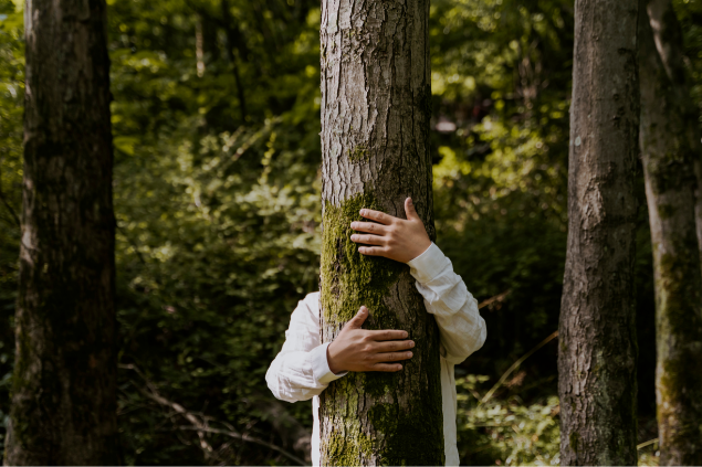 Mulher se escondendo atrás da árvore