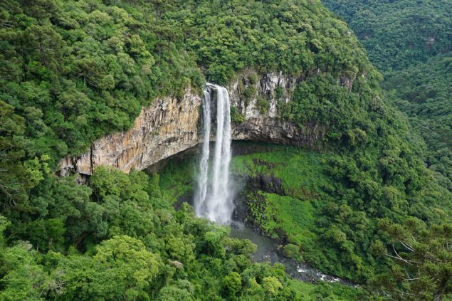 Canela, em Rio Grande do Sul
