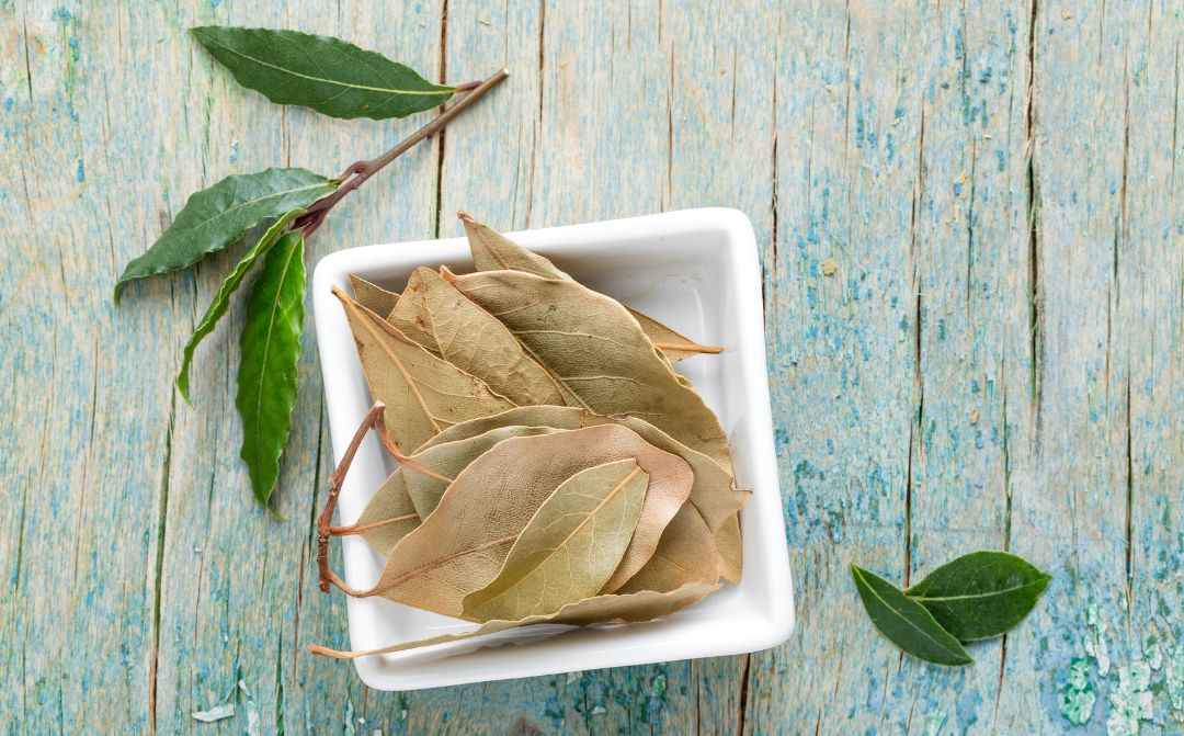 Folhas de louro em um recipiente. 