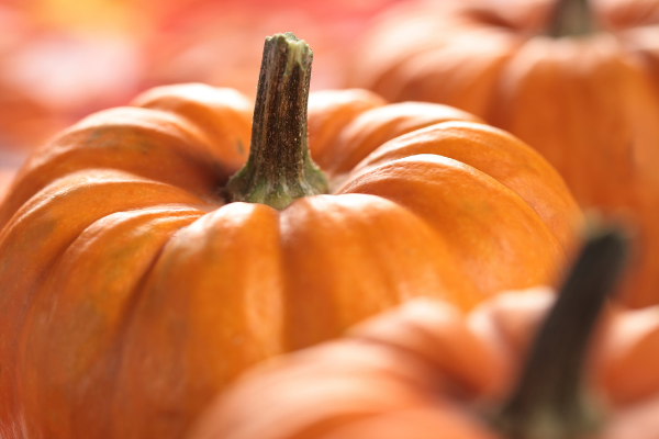 Abóbora ao lado de outras