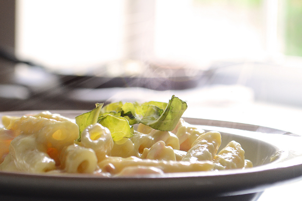 Massa ao molho de queijos em um prato