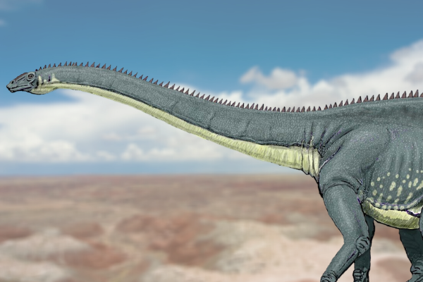 Ilustração de um Diplodoco