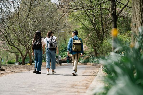 Jovens caminhando em um parque