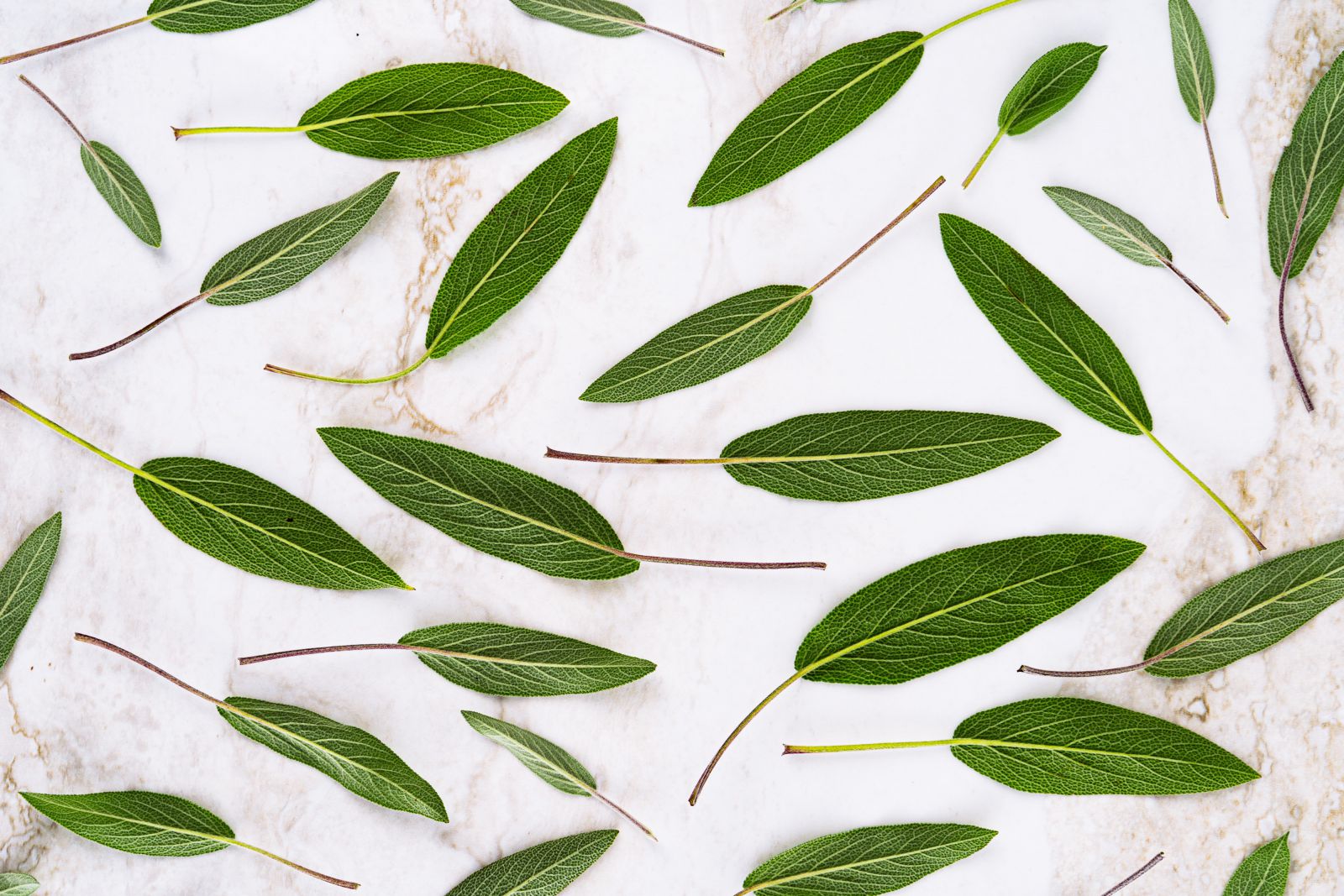 Folhas de louro em uma mesa
