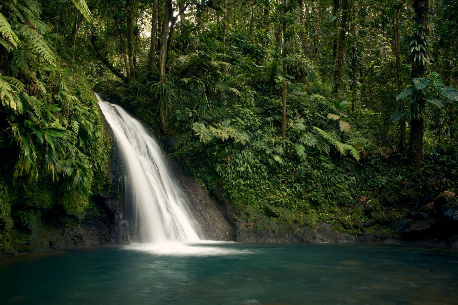 Cachoeira ao lado de árvores