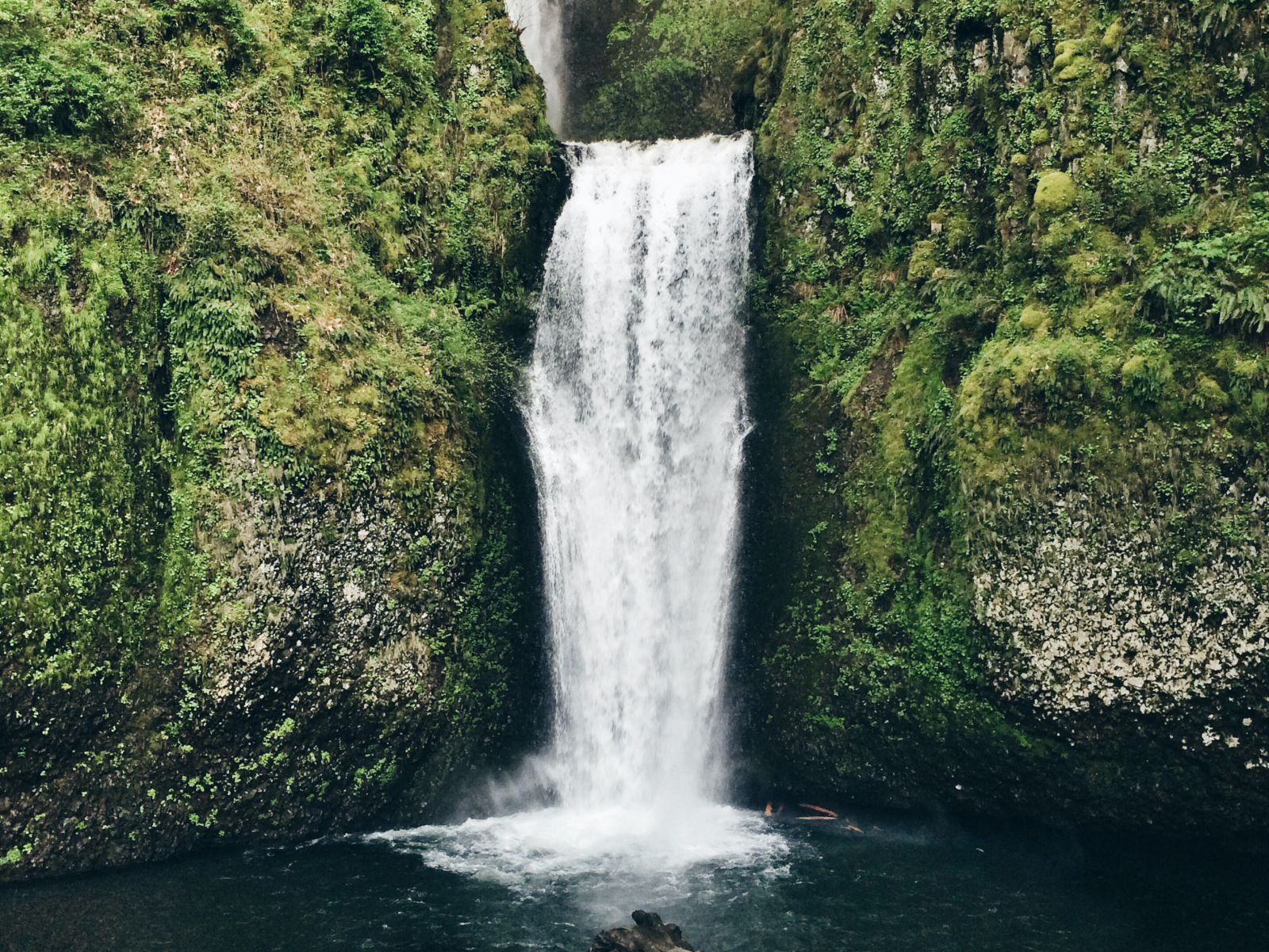 Cachoeira ao lado de rochas com plantas