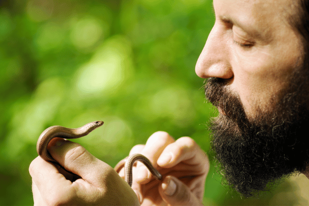 baiajaku de Getty Images no Canva Homem segurando uma cobra com as duas mãos