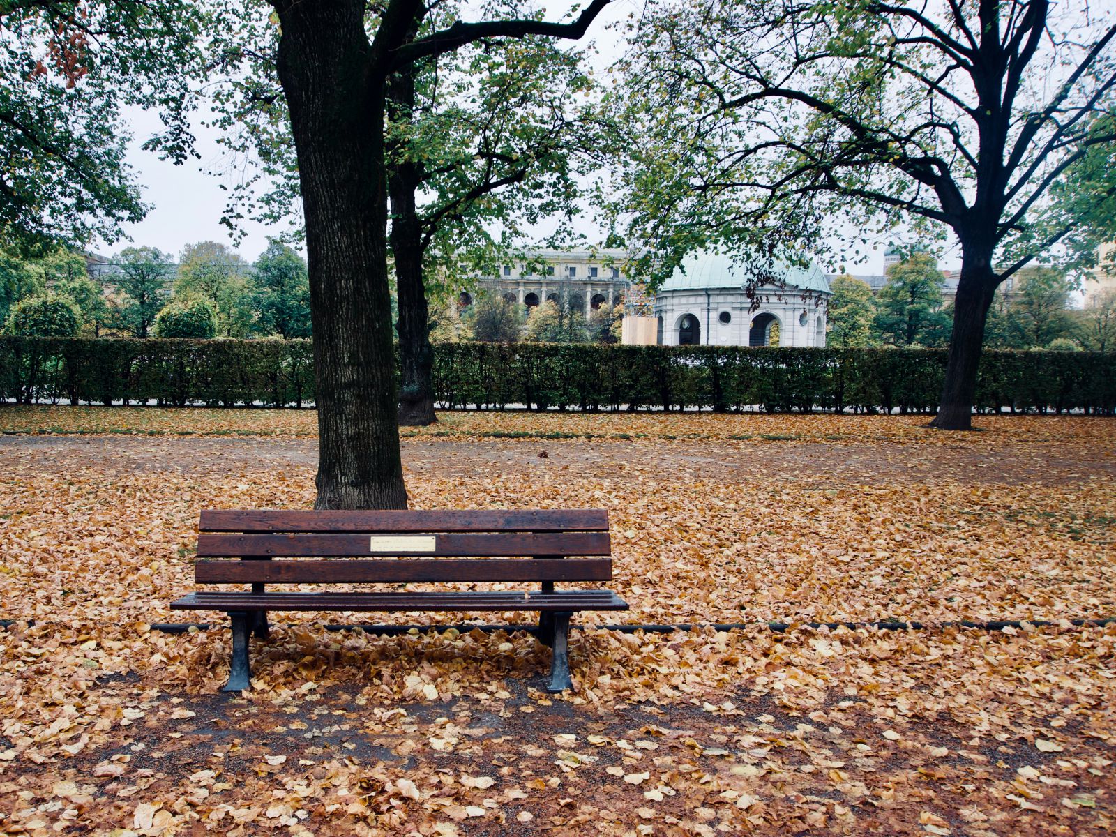 Parque com um banco de madeira vazio