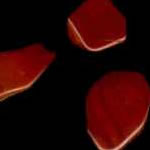 Pedra Jasper sanguíneo