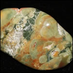 Pedra Madeira petrificada