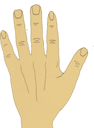 Formato de mão mista