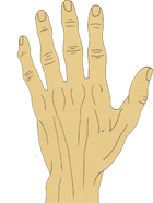 Formato de mão filosófica